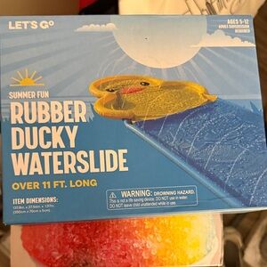 Rubber Ducky Waterslide